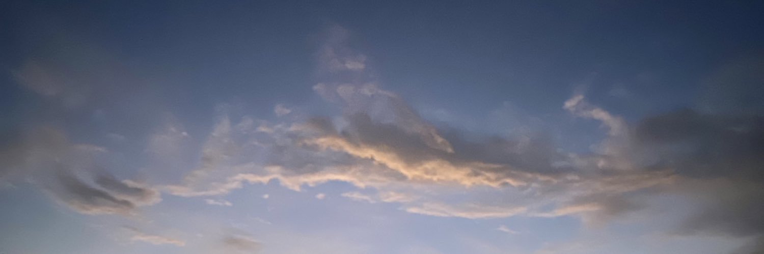 Sandeldlf's profile banner image