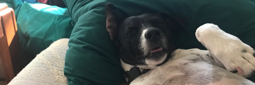 jack_gorman5's profile banner image
