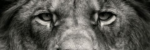 ghostfacexo's profile banner image