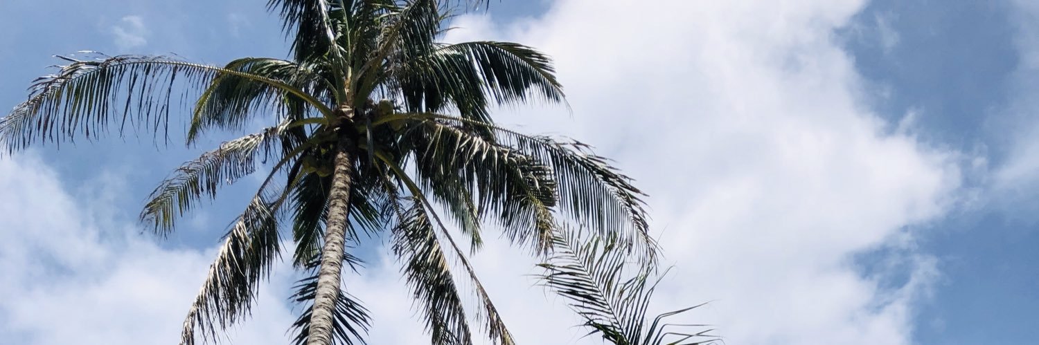 lizziedyer's profile banner image