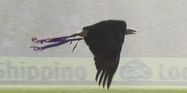 deswindley's profile banner image