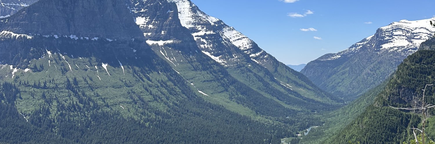 efjungbauer's profile banner image