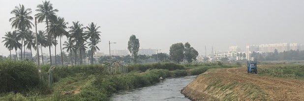 Whitefield Rising banner