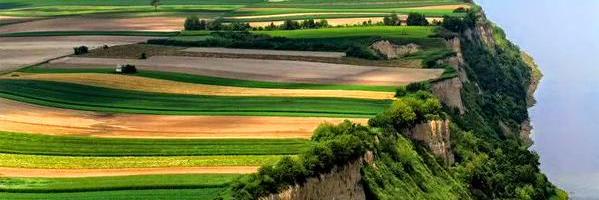el_massoud's profile banner image