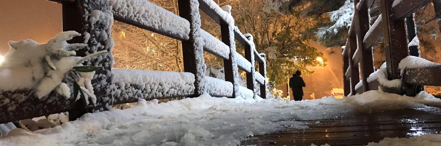 Ercan Gürses banner