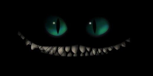 _kiittyyy's profile banner image