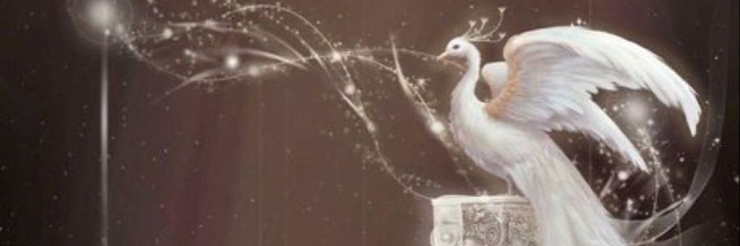 AlmaawliS's profile banner image
