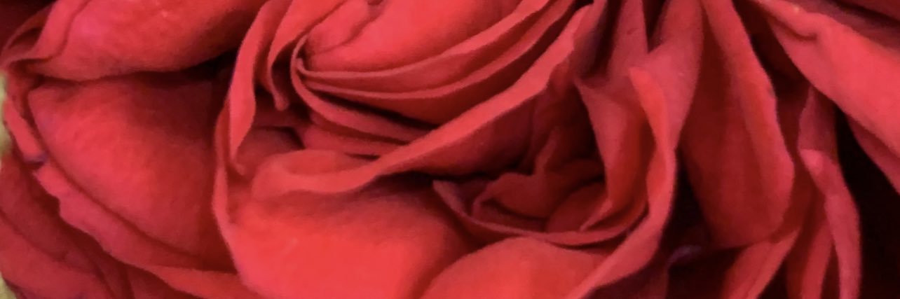 lorrie_tweets's profile banner image