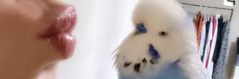 gshlcn's profile banner image