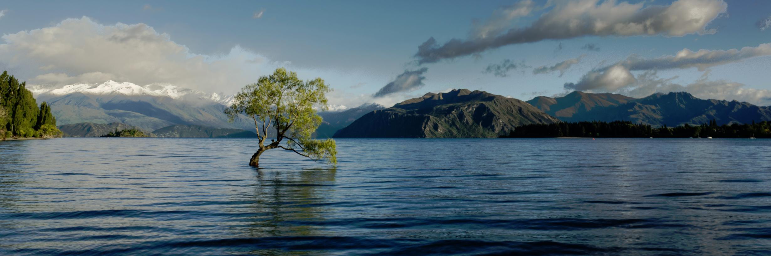 AlterFood 🐘 banner