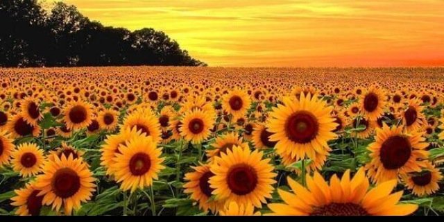 ashhill14's profile banner image