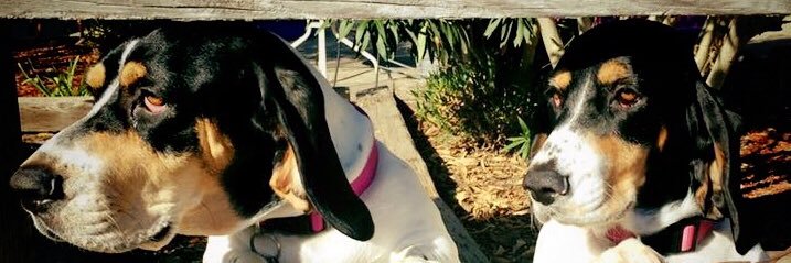 JRemyAnderson's profile banner image