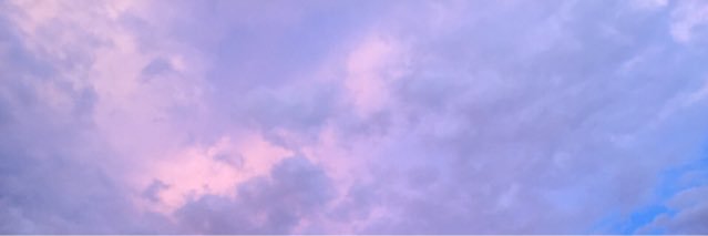 lesbian princess banner