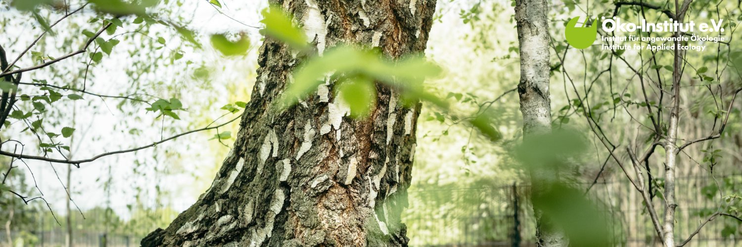 oekoinstitut's profile banner image