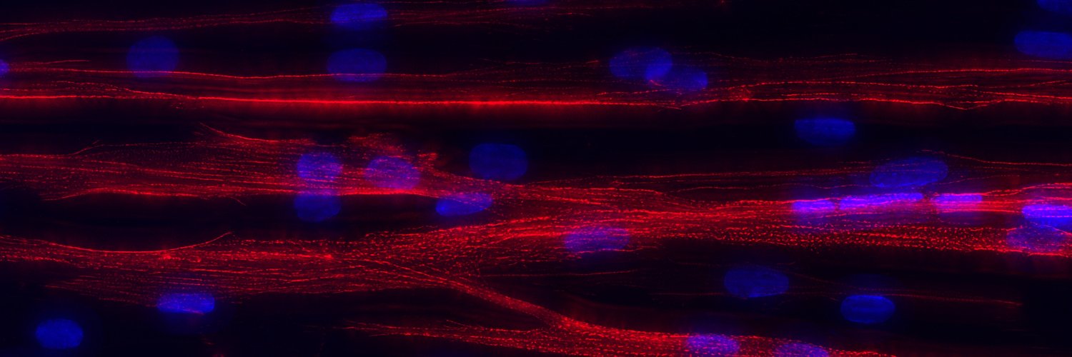 William Apró, PhD banner