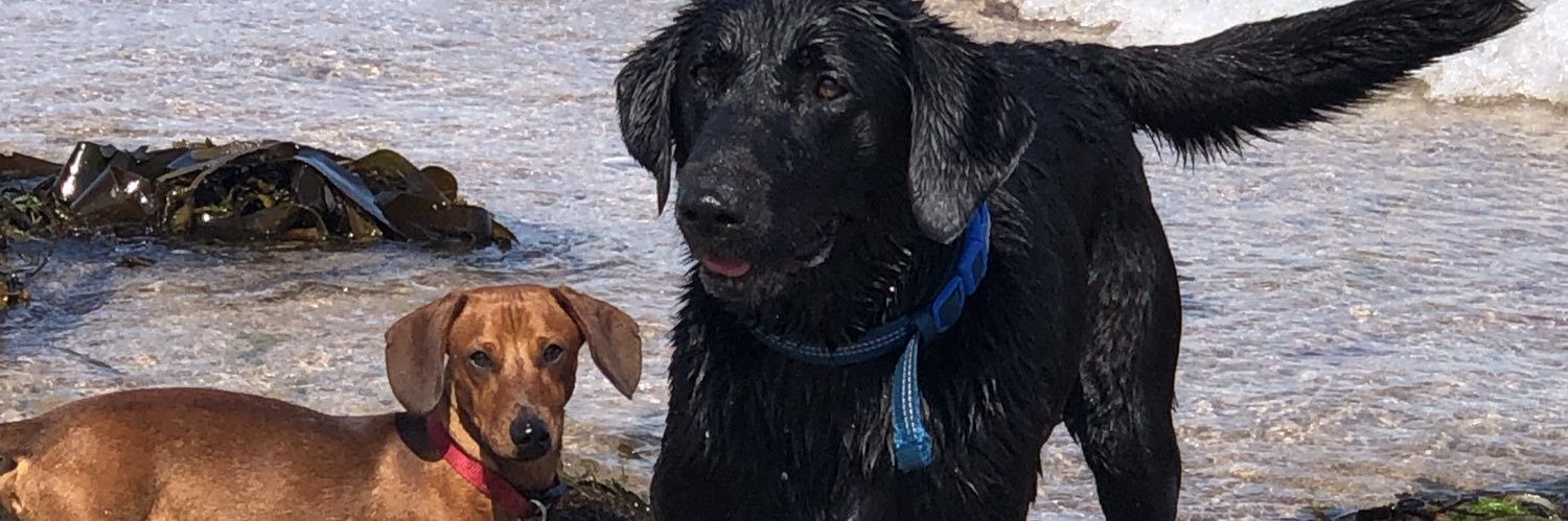 barbara clark banner