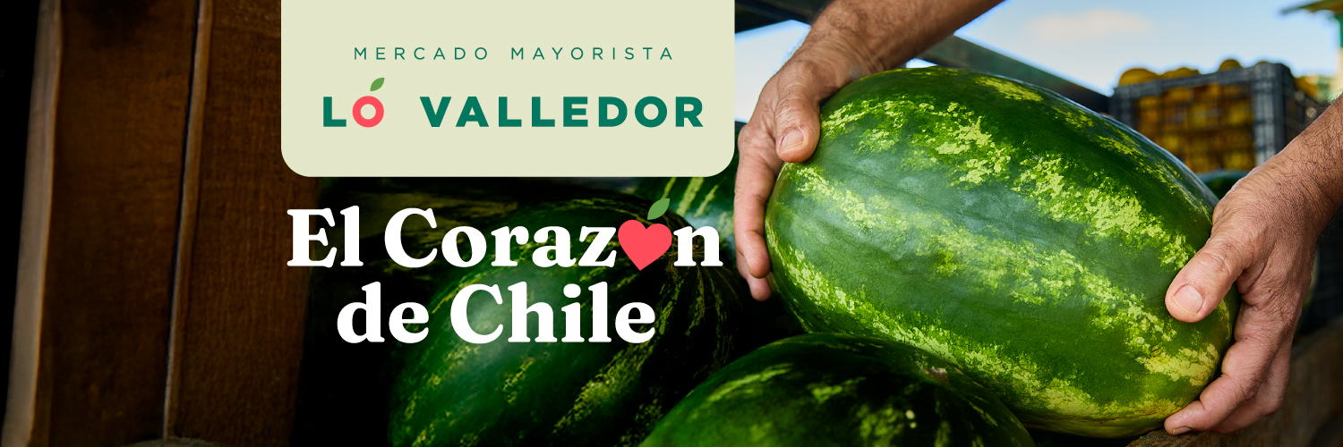 lo_valledor's profile banner image