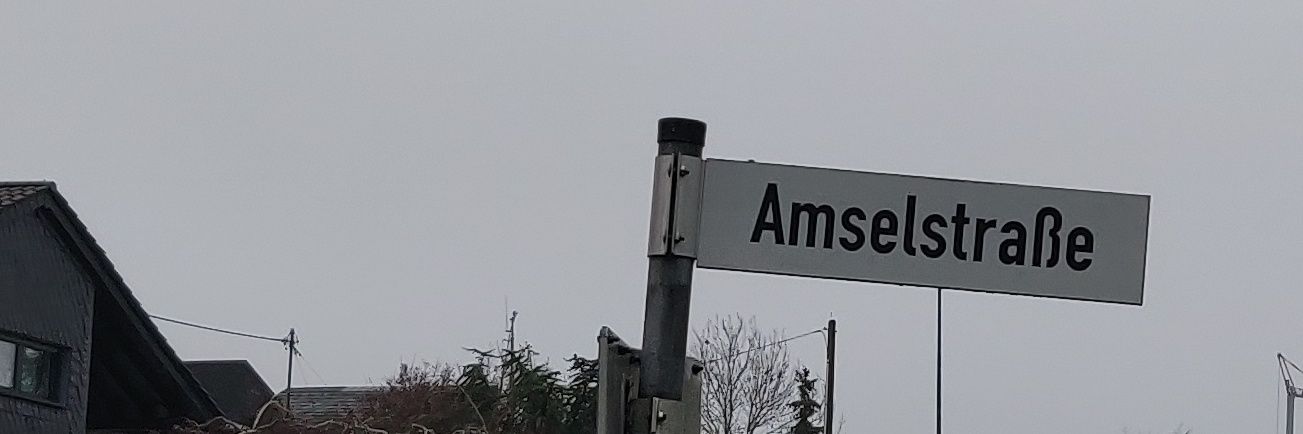 @amseltier@social.tchncs.de banner