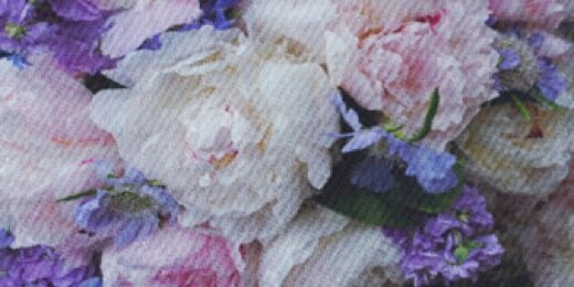 _virginprincess's profile banner image