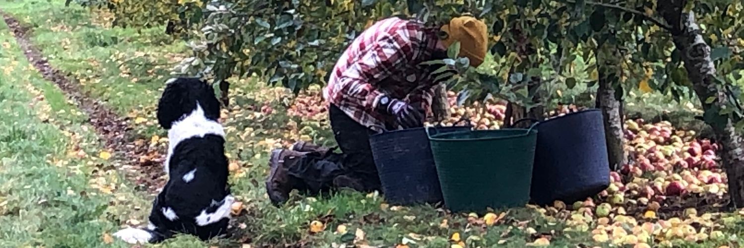 Ag Daddy 🍎🍏🍐 banner