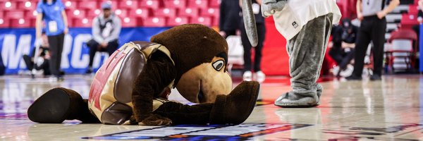 Testudo_UMD Profile Banner