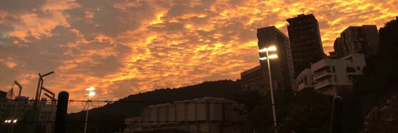 Emir Mustafa İşler banner