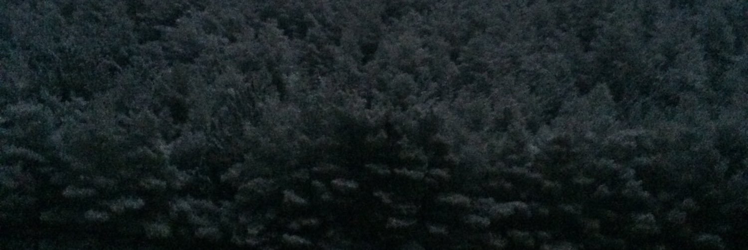 MeryemKomur's profile banner image