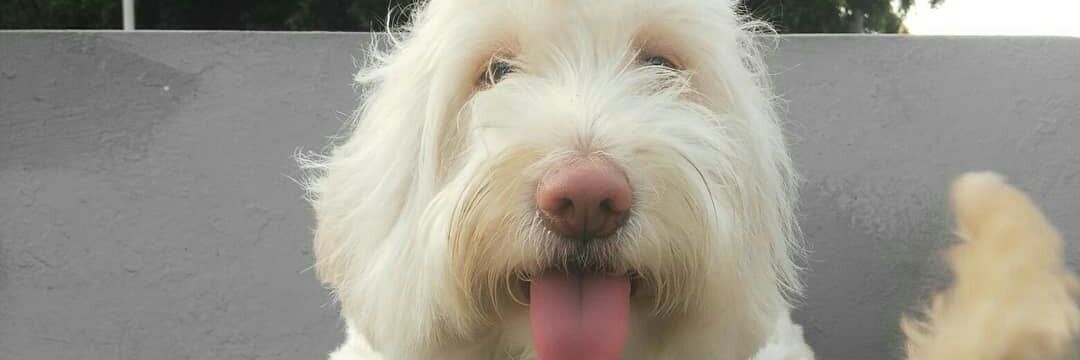 ClaudiiaSanchez's profile banner image