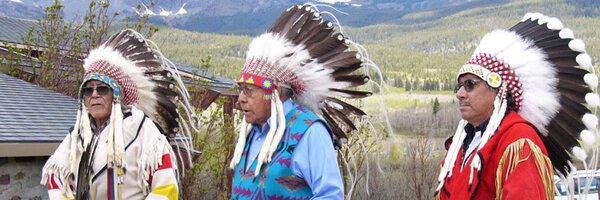 NPSVIPNetwork Profile Banner