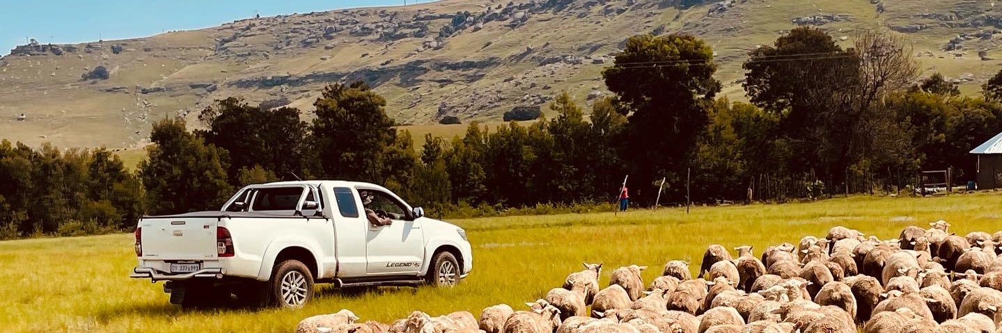 Anele Fumba 🇿🇦's banner