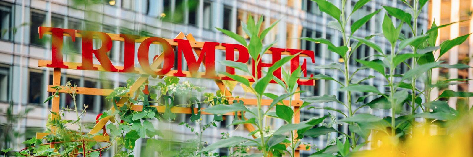 TriompheNY's profile banner image