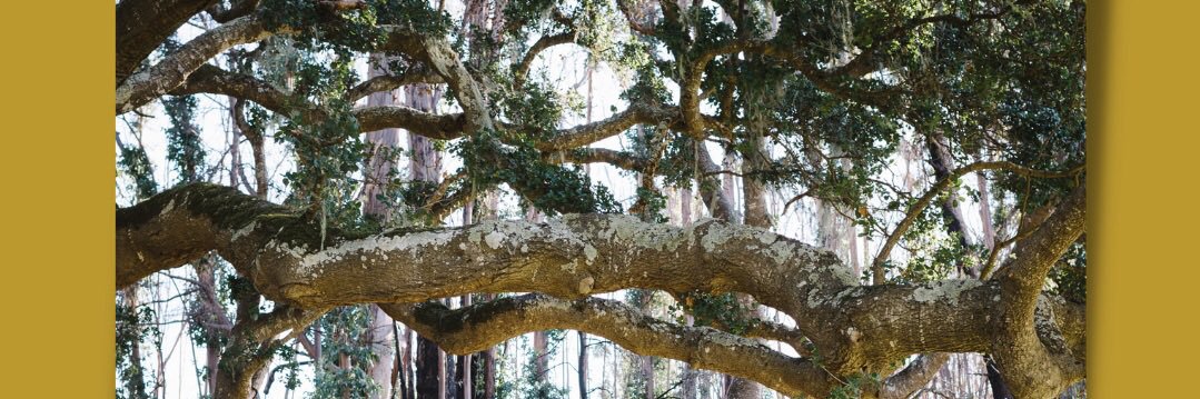 Leigh Robbie Gaymon-Jones banner