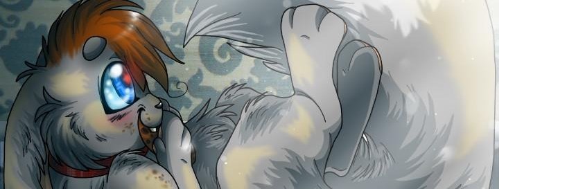 eeveelutions4ev's profile banner image