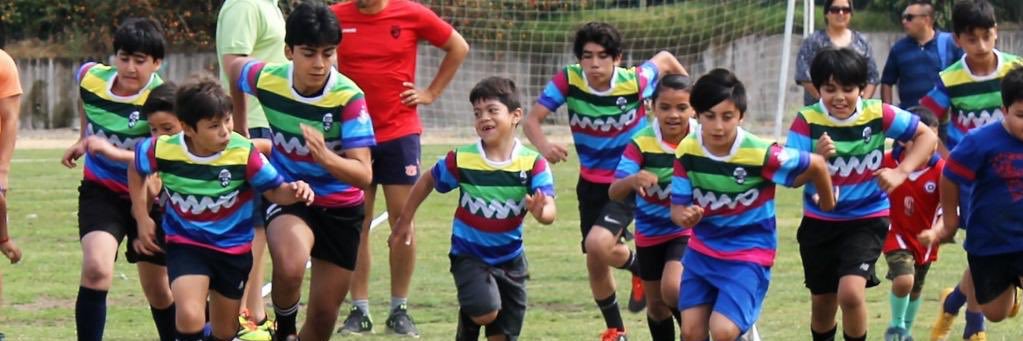 ClubManoRugby's profile banner image