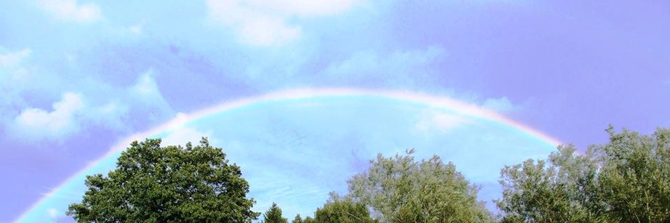 BillesleyCommon's profile banner image