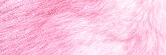canadiee's profile banner image