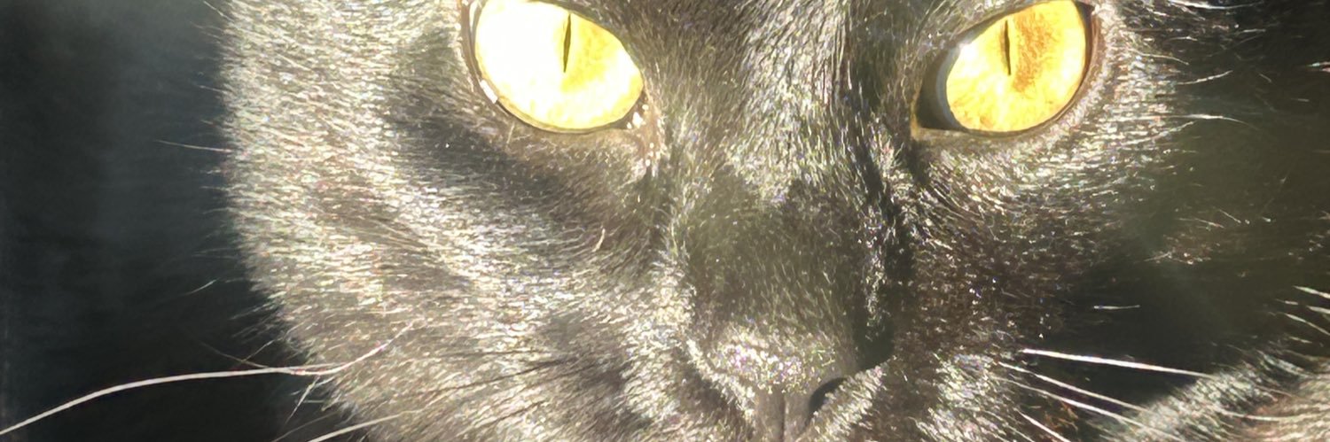 BrSing1's profile banner image