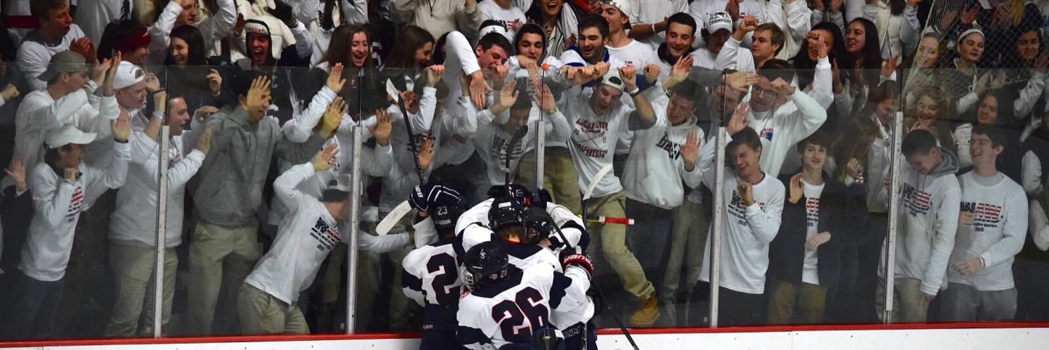 LS Hockey banner