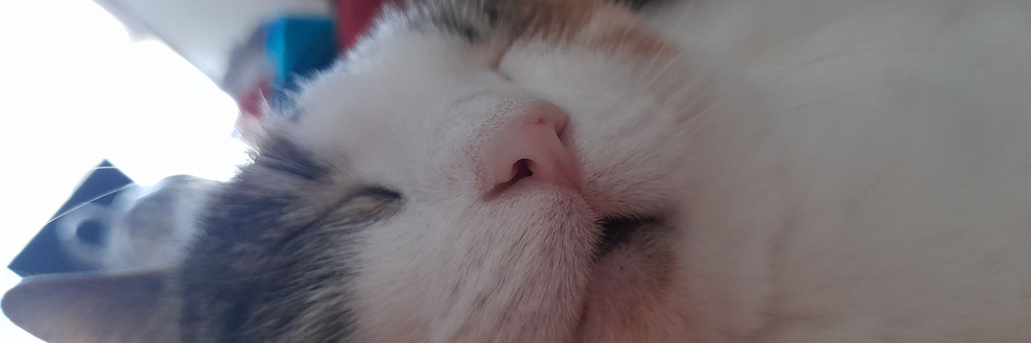 SofiCamus96's profile banner image