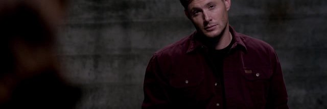 RobustCompanion's profile banner image