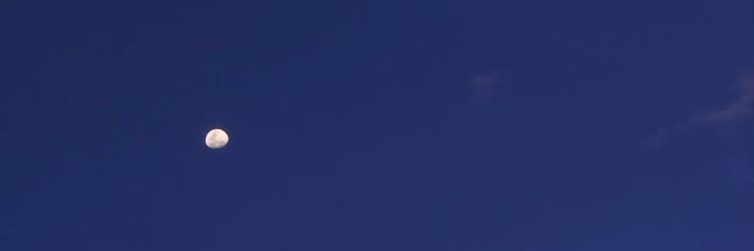 niramcamila's profile banner image