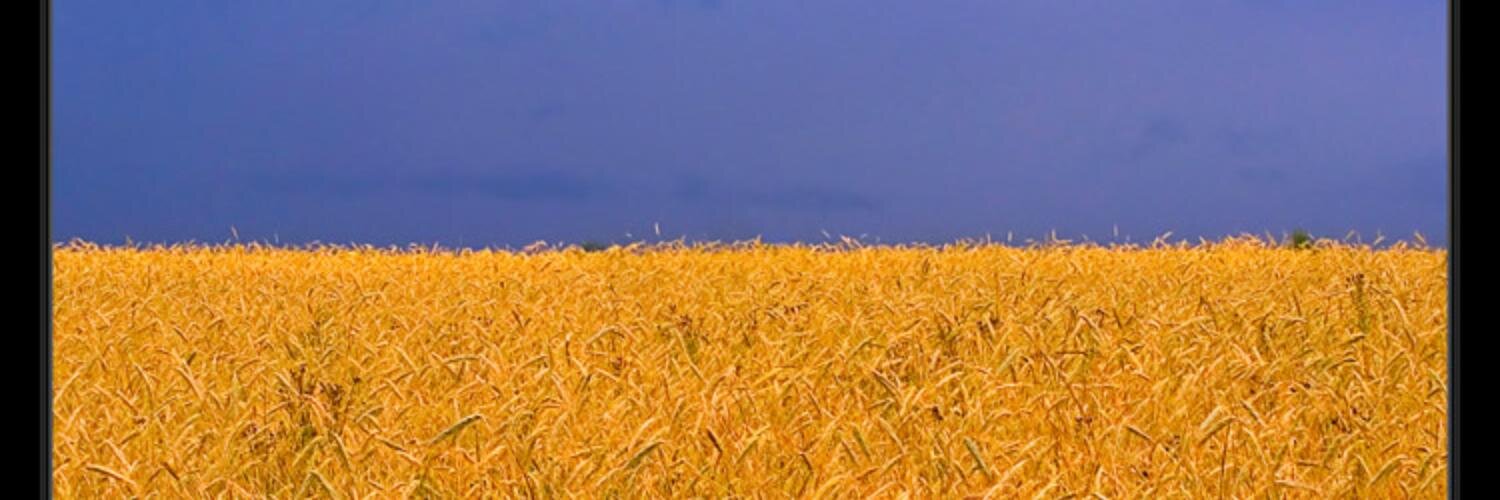 spoon_tar's profile banner image