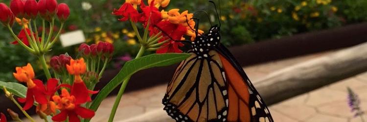 mandyfacer's profile banner image