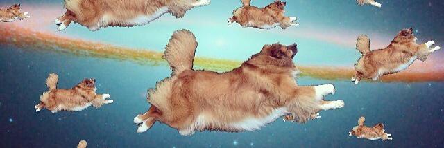 Lorene Scafaria banner