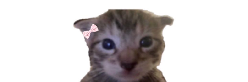oliviafawl's profile banner image