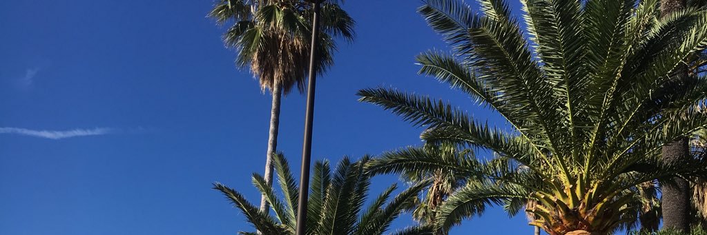 dxgeee's profile banner image
