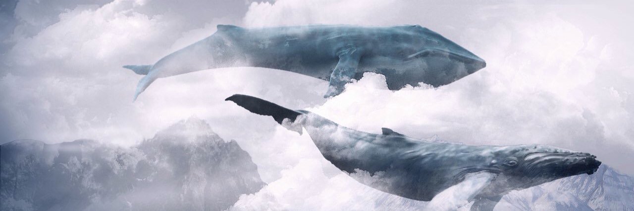 icatsby's profile banner image