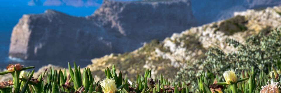 maeby123's profile banner image