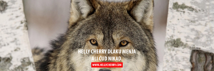 hellycherryzine's profile banner image