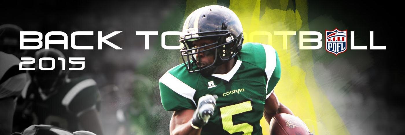 thepdfl's profile banner image